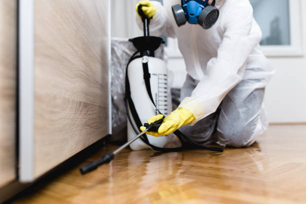  Difficult Run, VA Pest Control Pros