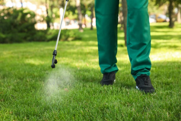 Best Wasp Removal Services  in Difficult Run, VA