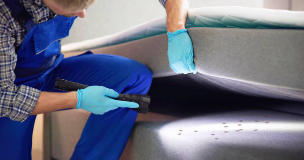 Best Termite Control Services  in Difficult Run, VA