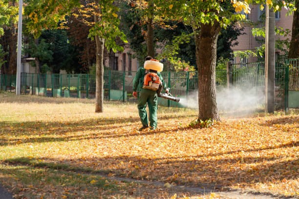 Best Pest Control for Homes  in Difficult Run, VA