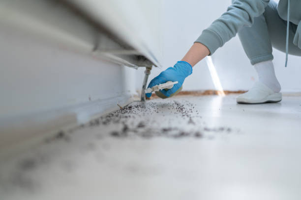 Best Affordable Pest Control Services  in Difficult Run, VA