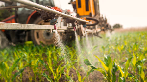 Best Pest Control Treatment  in Difficult Run, VA